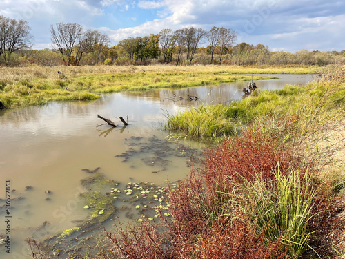 Flooded floodplain of Lake Khanka in autumn. Russia, Primorsky Krai photo