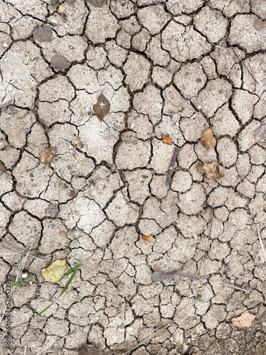 Background, cracked earth in autumn