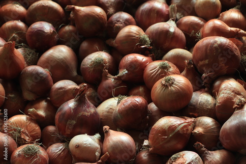 Brown onion background on a market