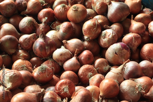 Fresh onions. Onions background. Ripe onions. Onions in market