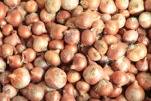 Bright brown onion on bangladeshi market