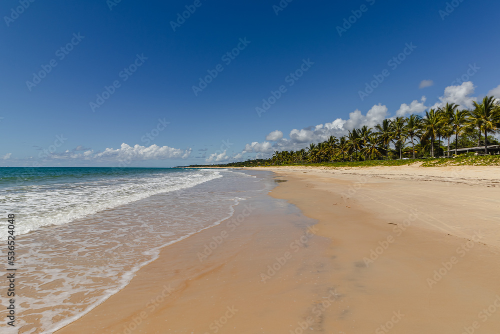 Fototapeta premium natural landscape in the district of Trancoso in the city of Porto Seguro, State of Bahia, Brazil