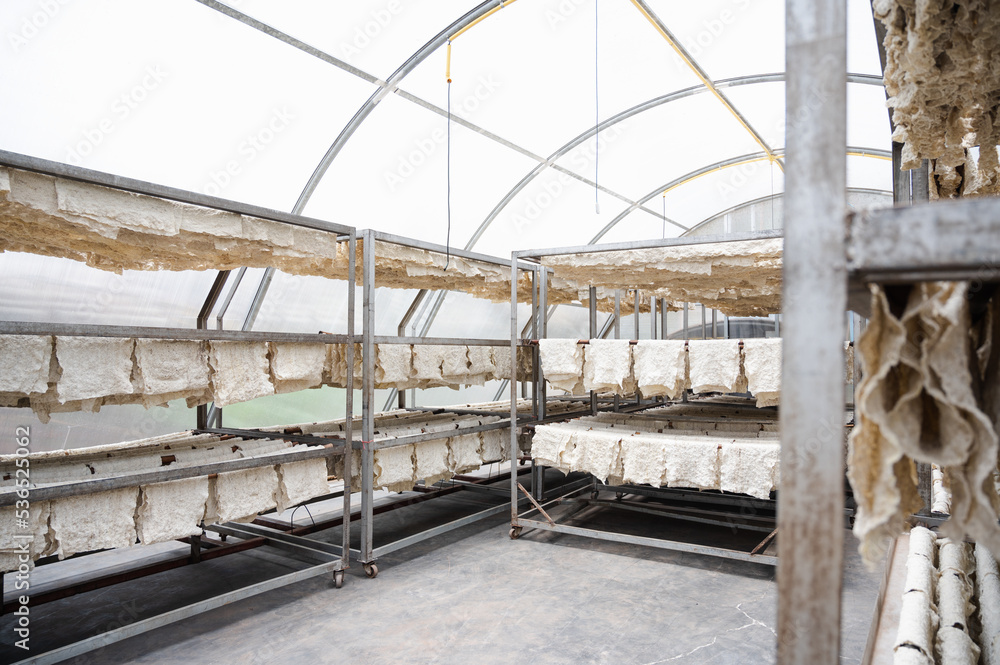 Rubber processing factory,Standard Thailand Rubber STR 20, Block rubber, Rubber rods made from latex. High physical properties. Rubber processing factory,Standard Thailand Rubber STR 20, Block rubber, Rubber rods made from latex. High physical properties.