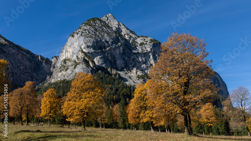 Fototapeta Naklejka Na Ścianę i Meble -  Alpen im Herbstzauber