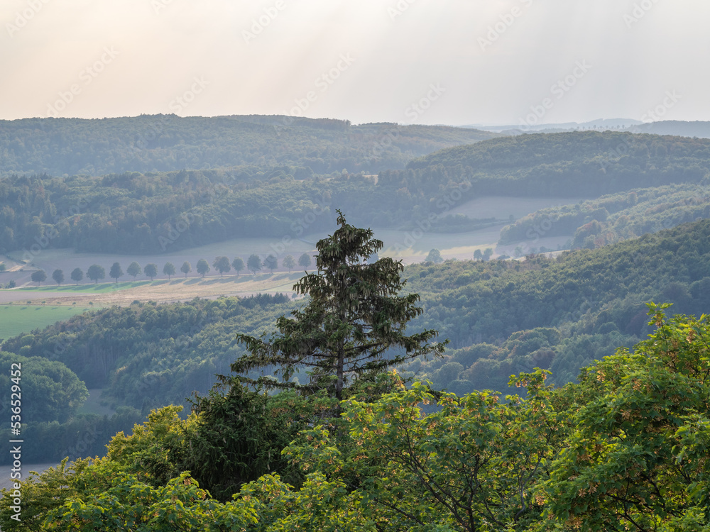 Fototapeta premium Landscape at sunset in Germany