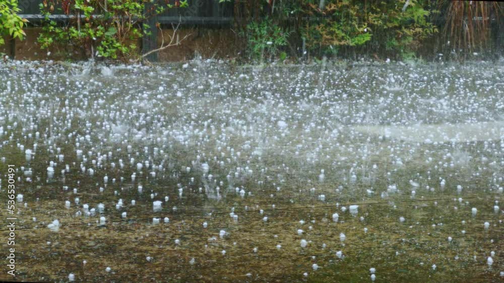 Hailstorm. Stock ビデオ Adobe Stock
