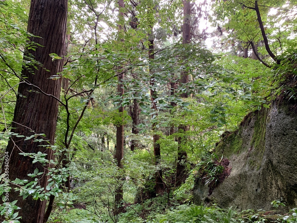 Naklejka premium 山寺の石段