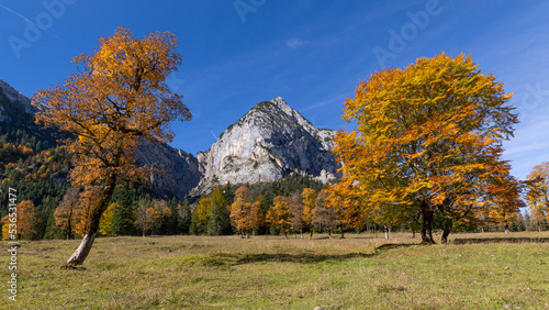 Fotografi Berg spitzt durch Bäume im Herbst