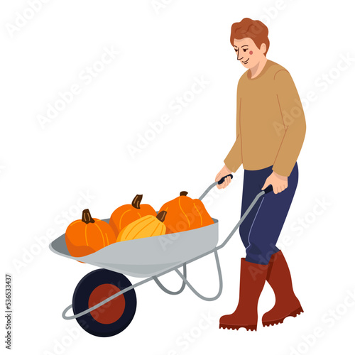 Farmer pushing wheelbarrow with autumn harvest. Farm worker going with garden cart with pumpkins harvest. Man and pushcart. Colored flat vector illustration isolated on white background