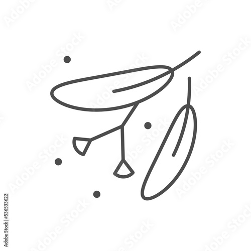 Linden blossom line outline icon