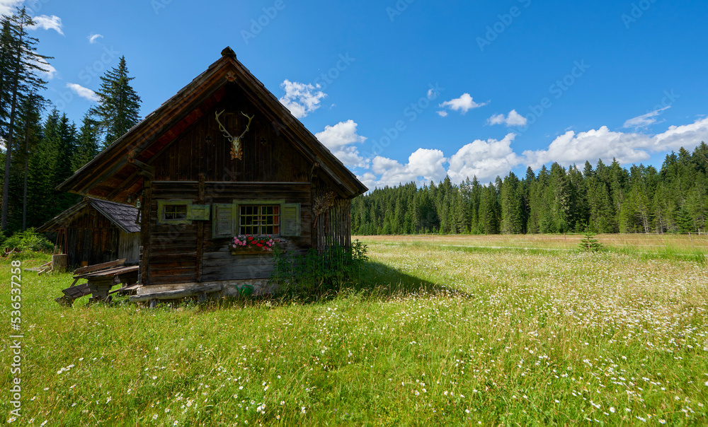 Wooden house in peaceful Slovenian countryside Wooden house in peaceful Slovenian countryside