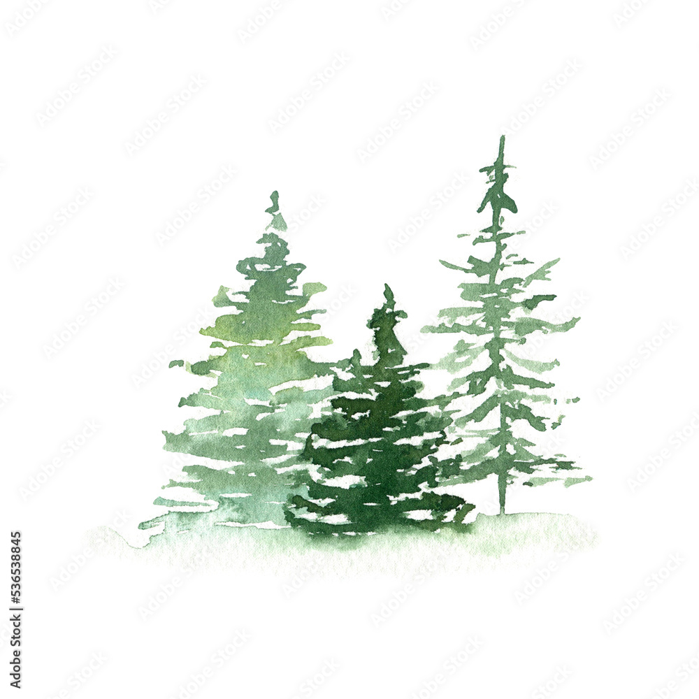Watercolor fir trees on white background. Wild forest travel scetch. Hand drawn natural element. Landscape template for Christmas design