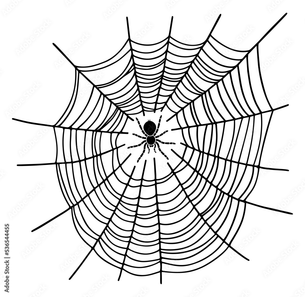 Obraz premium Spider in the web. Black vector silhouette isolated on white background. Halloween decoration element.