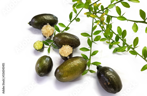 Australian finger lime or caviar lime, Citrus australasica. Ripe edible fruits. Whole limes on thorny branch and cut with vesicles partially extracted. Objects on a white background
