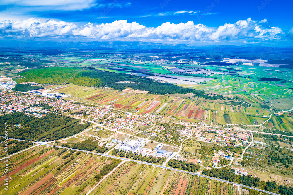 Vibratsiyali oq bilan jinsiy olatni halqasi