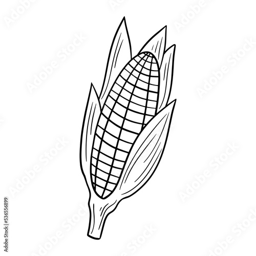 Ripe corn cob with leaves, vector illustration in cartoon style , Monochrome