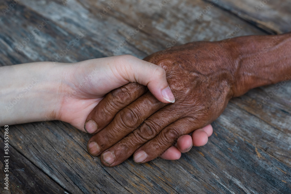 Fototapeta premium .Old and young holding hands on wood background, closeup.