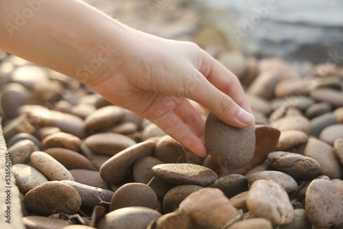 female hand holding small pebble stones picking up pebbles, round shape pebbles, summer vacation souvenir,