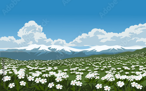 meadow with flowers and mountains