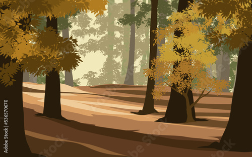 Vector forest landscape illustration. Sunrise in woodland