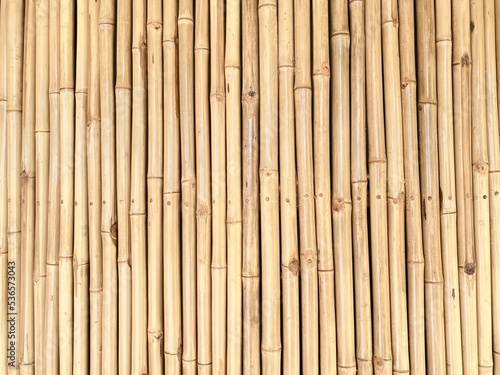 Bamboo background and copy space for your work to type on it.