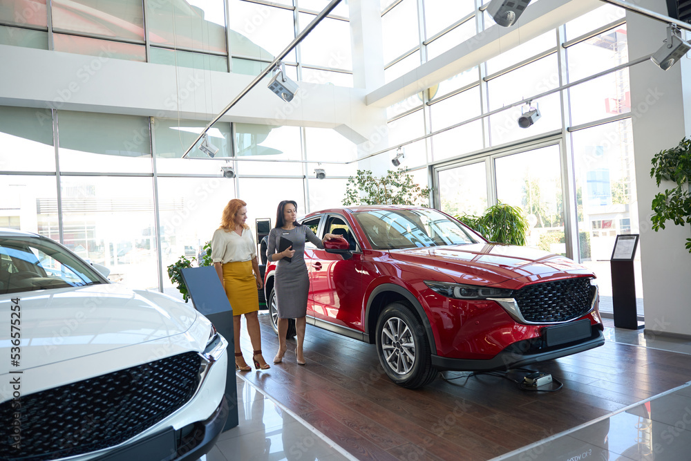 Fototapeta premium Car dealership manager inspecting a car with a client