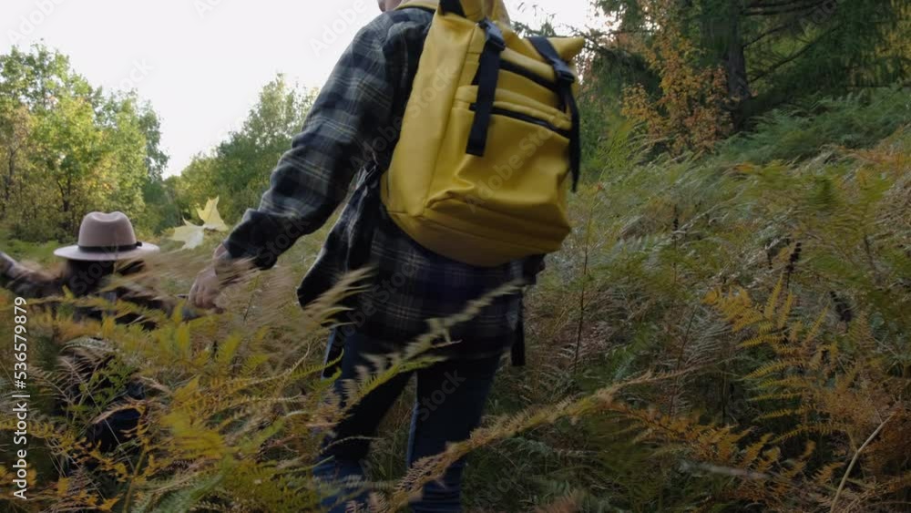Selective focus of traveling young mom with yellow backpack and pretty daughter in hat walking in big old fern fields near forest on background autumn mountain. Family weekend and wanderlust concept Selective focus of traveling young mom with yellow backpack and pretty daughter in hat walking in big old fern fields near forest on background autumn mountain. Family weekend and wanderlust concept