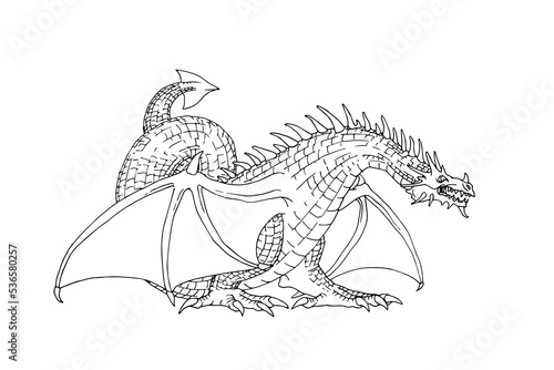 A horned medieval dragon with bat wings. A fantasy animal. Vector illustration with contour lines in black ink highlighted on a white background in cartoon and hand-drawn style.