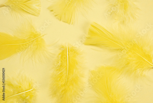 Fototapeta Naklejka Na Ścianę i Meble -  yellow feathers on a yellow background, fashionable, delicate,creative background. the concept of a party or birthday in yellow colors,