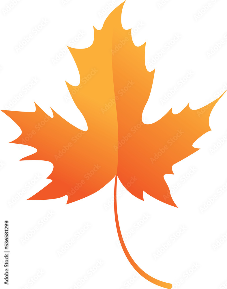 Obraz premium Gradiant Color Maple Leaf Fall