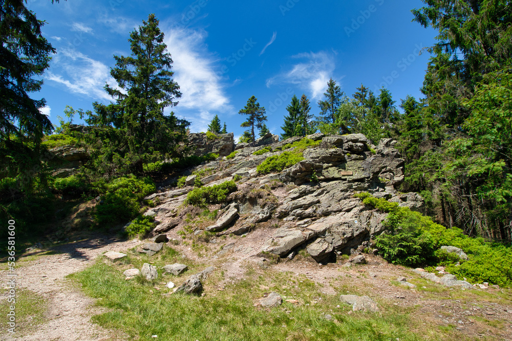 View of Janova skala in summer time. Krkonose. Czech Republic.