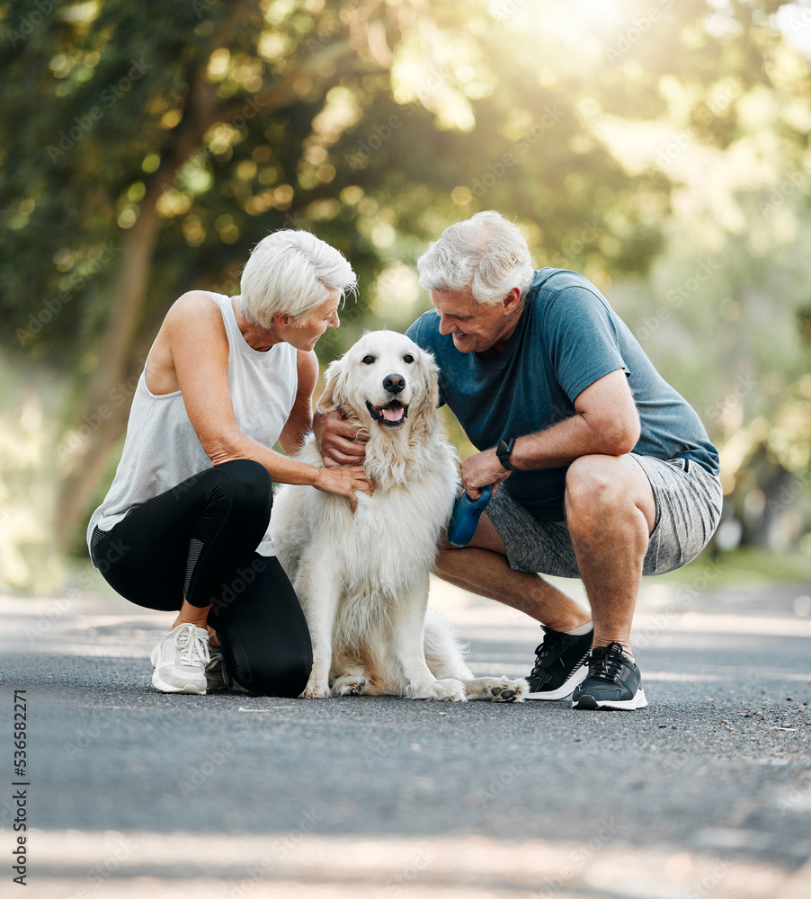 Fotka „Dog walk, nature and senior couple walking their pet for exercise on a road in Germany