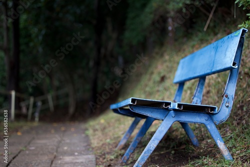 wooden bench in the park