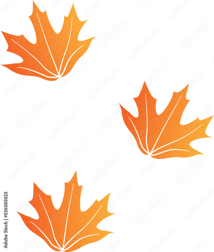 Maple Leaf Decorate Position Illustration Maple Leaf Decorate Position Illustration