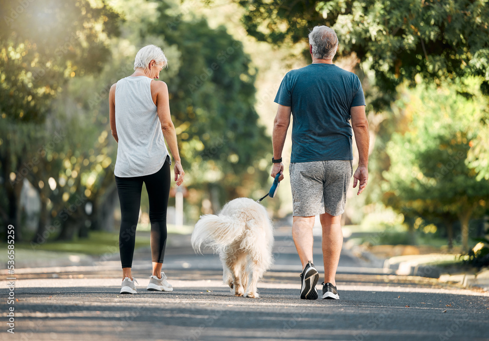 Senior couple, dog walk and nature park road during exercise, walking