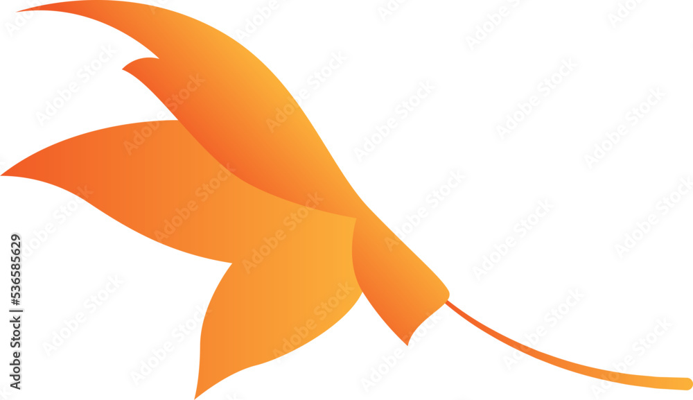 Obraz premium Maple Leaf Isolated Illustration Leaves