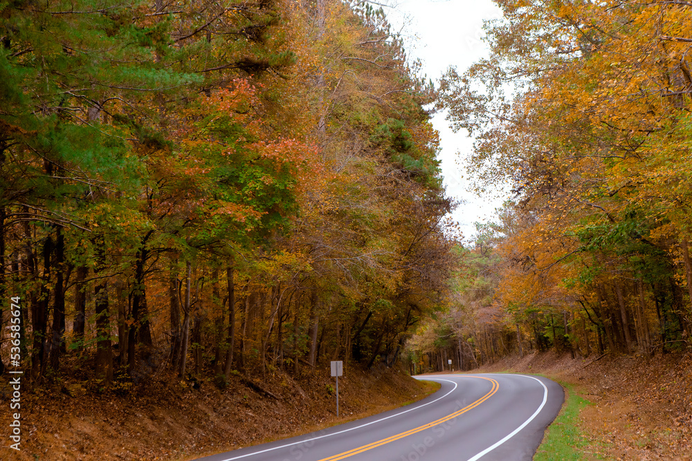 Fototapeta premium Rural road through the autumn forest
