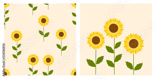 Seamless pattern with sunflower field on yellow background. Set of sunflower with green leaves icon vector illustration.