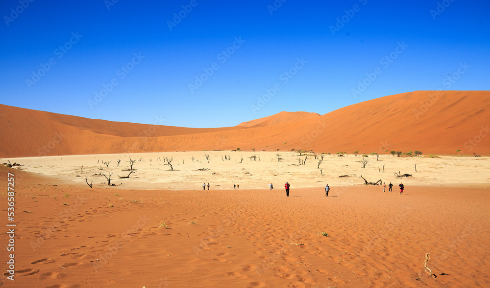 Dead Vlei Salt Pan in Sossusvlei - with Large Orange Sand dunes and bright blue sky with people walking to see the pan and petrified burnt trees, Namib Naukluft, Nambia