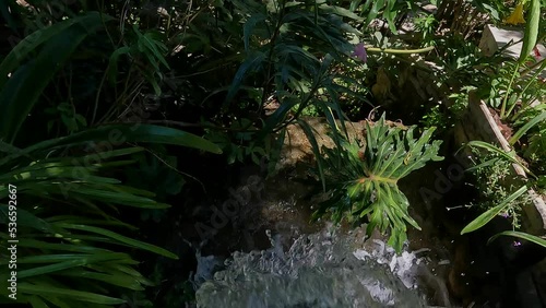 water flow among green plants