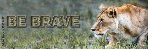 Lion character concept with inspiring motivational power words - strength pride courage bravery