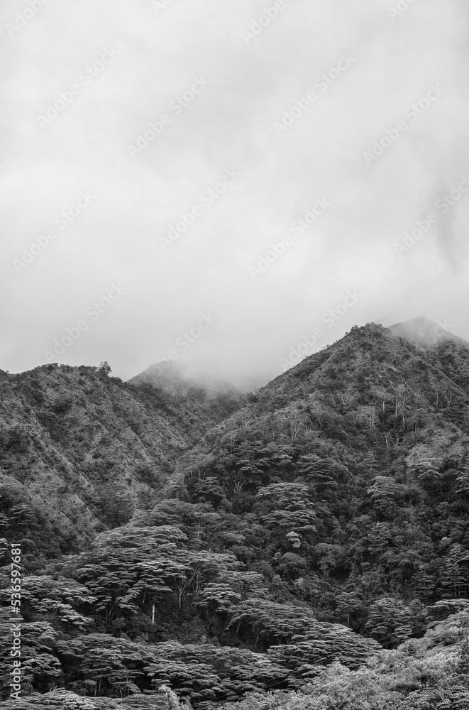 Rainforest Mountain Scene with Mist and Overcast Sky. Rainforest Mountain Scene with Mist and Overcast Sky.