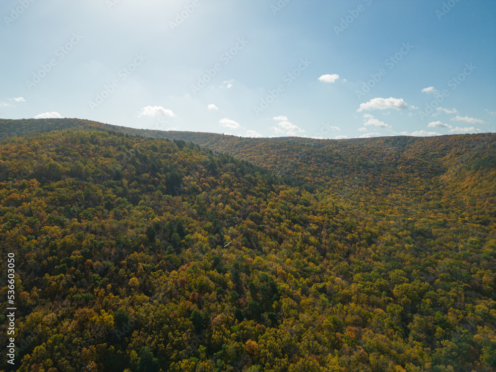 The concept of autumn. Autumn landscape.  Aerial photography. Aerial drone view. A green field against the background of a bright green-yellow grove of trees. Bright colors of autumn. Drone shot.