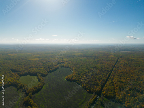The concept of autumn. Autumn landscape. Aerial photography. Aerial view from a drone. A green field against the background of a bright green-yellow forest. Bright colors of autumn. Drone shot.