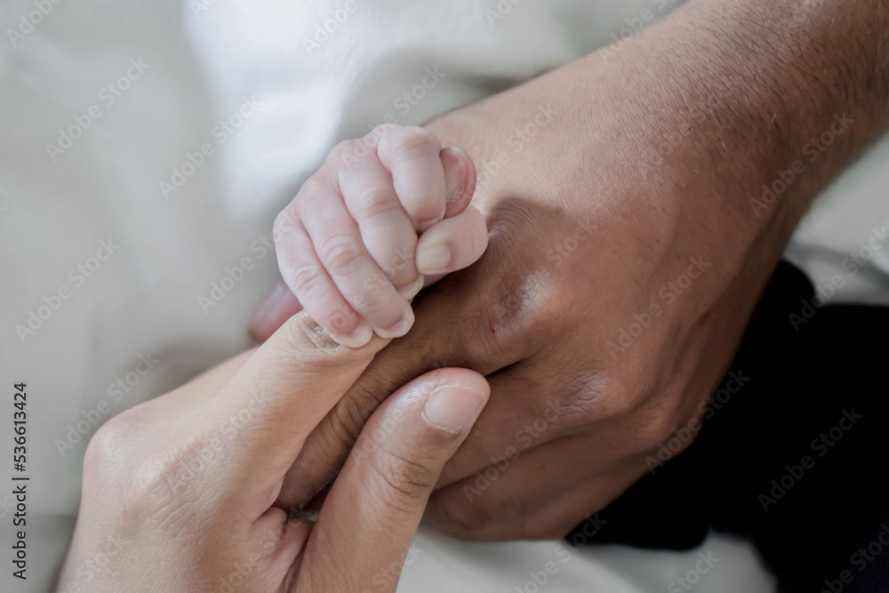 Baby holds parents finger. Photography of of of tiny little baby finger in close-up detail. Baby holds parents finger. Photography of of of tiny little baby finger in close-up detail.