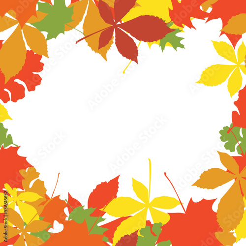 Autumn colorful vector leaves copy space background. Autumn colorful