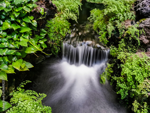 Waterfall landscape in the middle of many plants