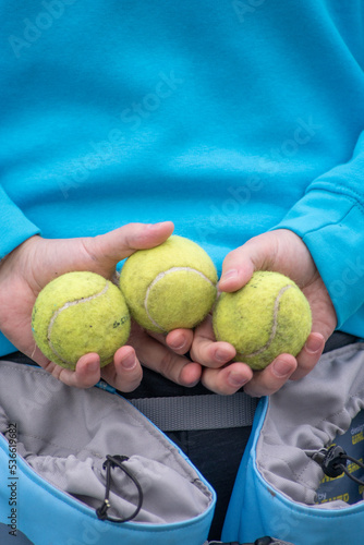 Obraz na płótnie Flyball w salonie