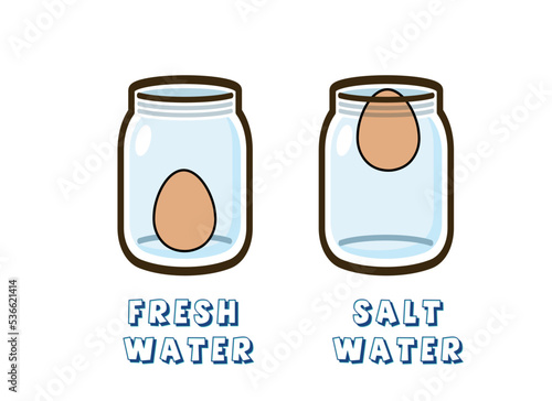 salt and egg experiment