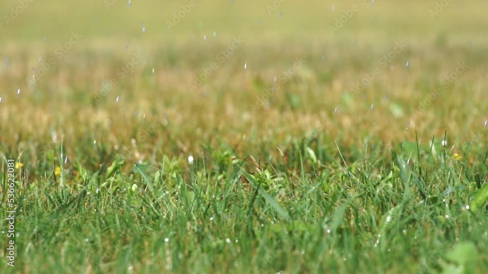 Green meadow with raindrops and bokeh background. Artificial rain and irrigation system for park zones. Water and evenly watered the plants on the lawn. rain Green meadow with raindrops and bokeh background. Artificial rain and irrigation system for park zones. Water and evenly watered the plants on the lawn. rain